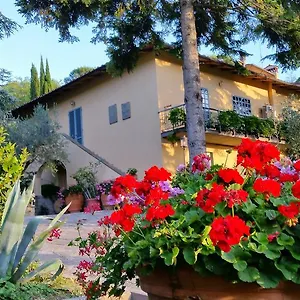 Bed & Breakfast Ulivi Di Castello, Firenze